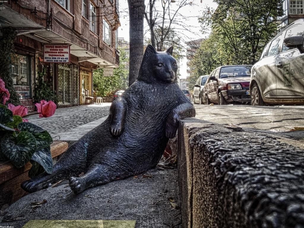 ការប្រើប្រាស់បច្ចេកទេសល្អបំផុតសម្រាប់ការបង្ហាញម៉ាស៊ីនស្លត