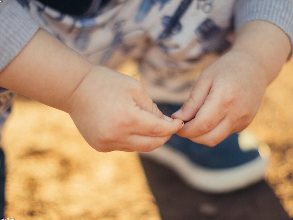 គន្លឹះសម្រាប់ការលេងក្នុងកំឡុងពេលសុទ្ធសាធ