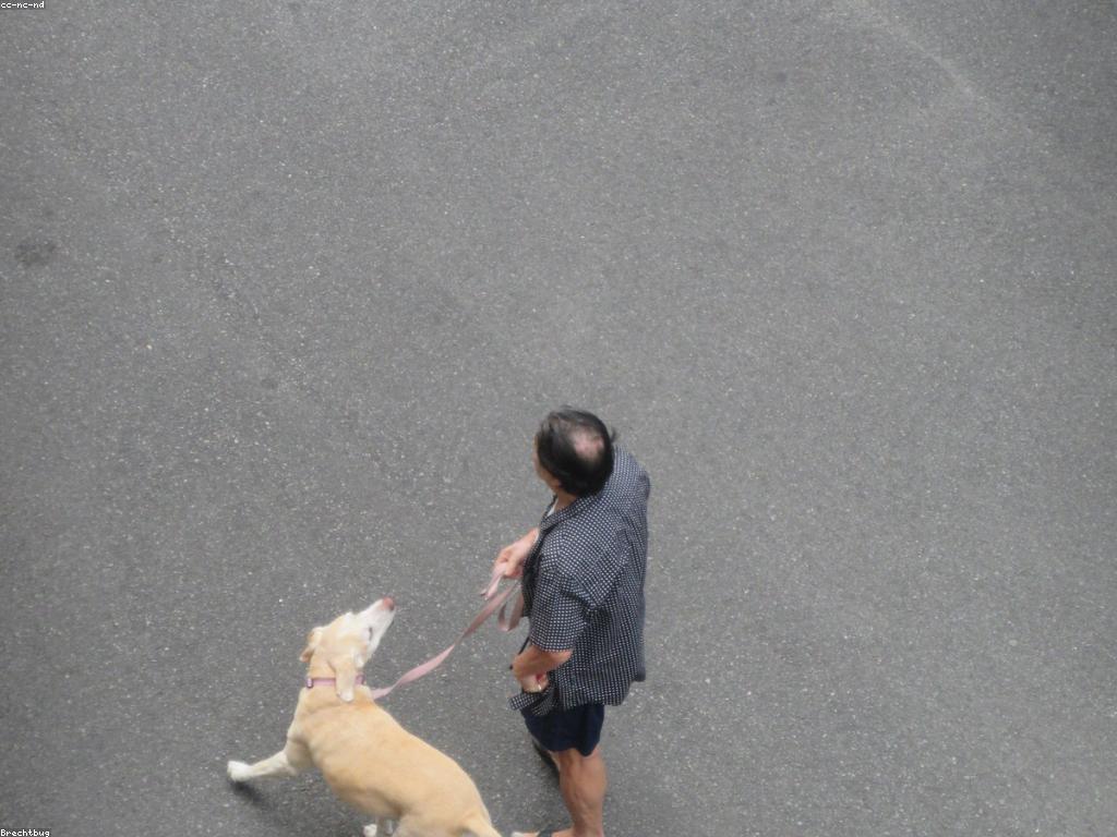 គន្លឹះនឹងការលេងសម្រាប់ការធ្វើឱ្យប្រសើរឡើង