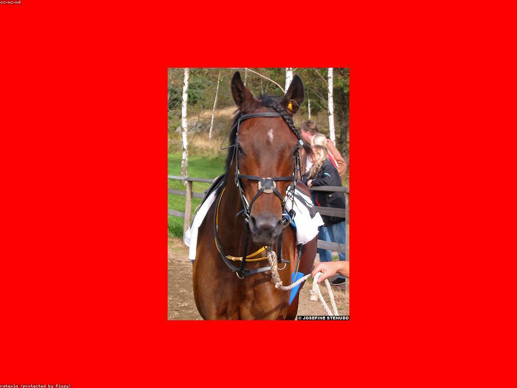 គន្លឹះសម្រាប់ការលេង