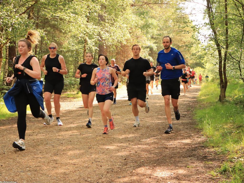 គន្លឹះសម្រាប់ការលេងសប្បាយ