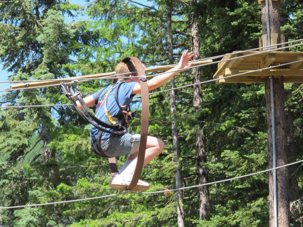 គន្លឹះសម្រាប់ការលេងក្នុងពិភពថ្មី